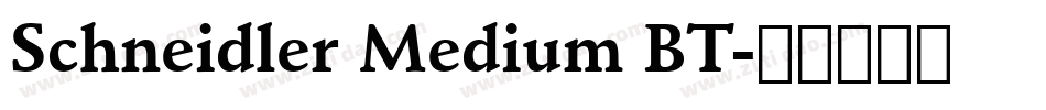 Schneidler Medium BT字体转换